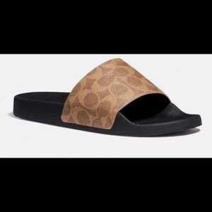 Coach Slides (Brand New with Box)
